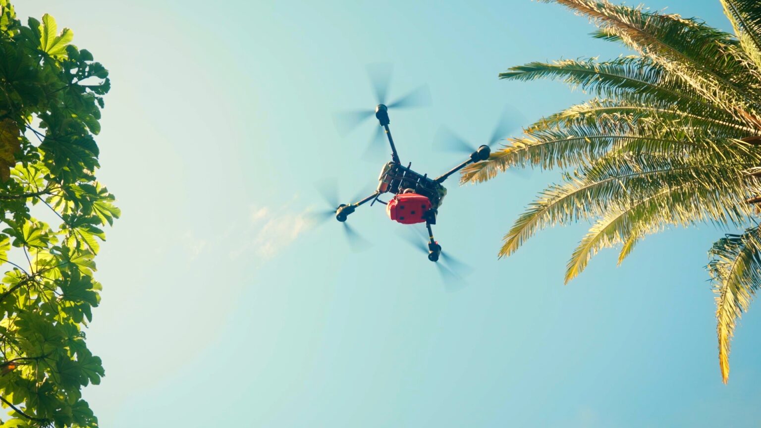 Lisa Crecer Lab Dron de emergencia de CrecerLab responde con éxito en evento masivo en ...